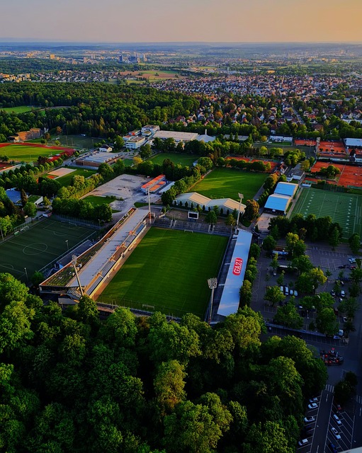 卡塔爾體育官宣哈維-馬丁內斯加盟.