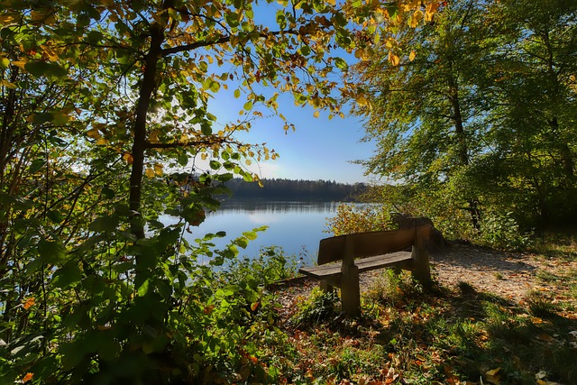 轻球员提供 轻球员提供