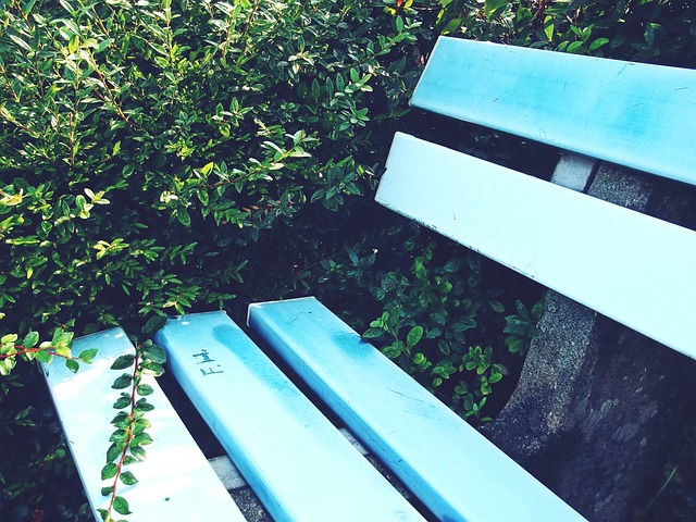 [亚冬会]开幕式：文艺表演《驰骋天地间》.